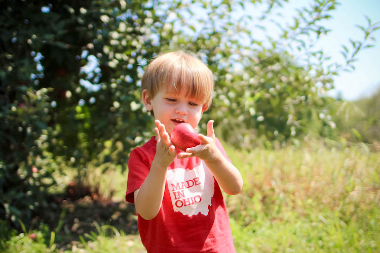 A&M Farm Orchard