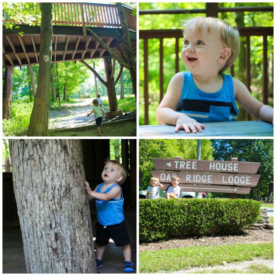 Straight from a Fairy Tale: Mt. Airy Forest - Cincinnati Parent Magazine