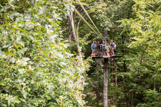 Photo credit: Tree Frog Canopy Tours