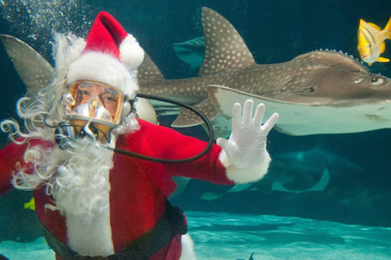 Photo credit: Newport Aquarium