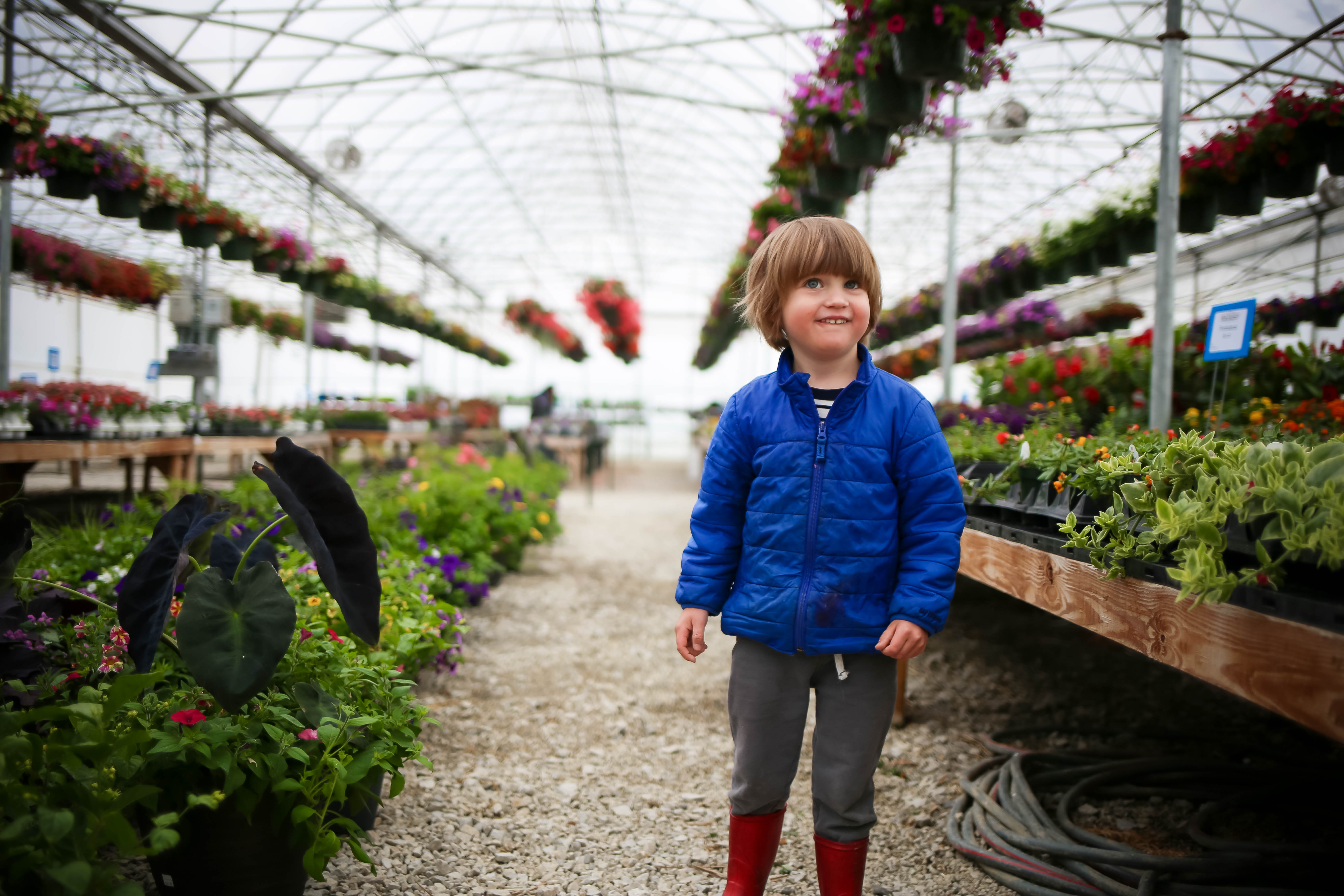 The Garden Center At Blooms Berries