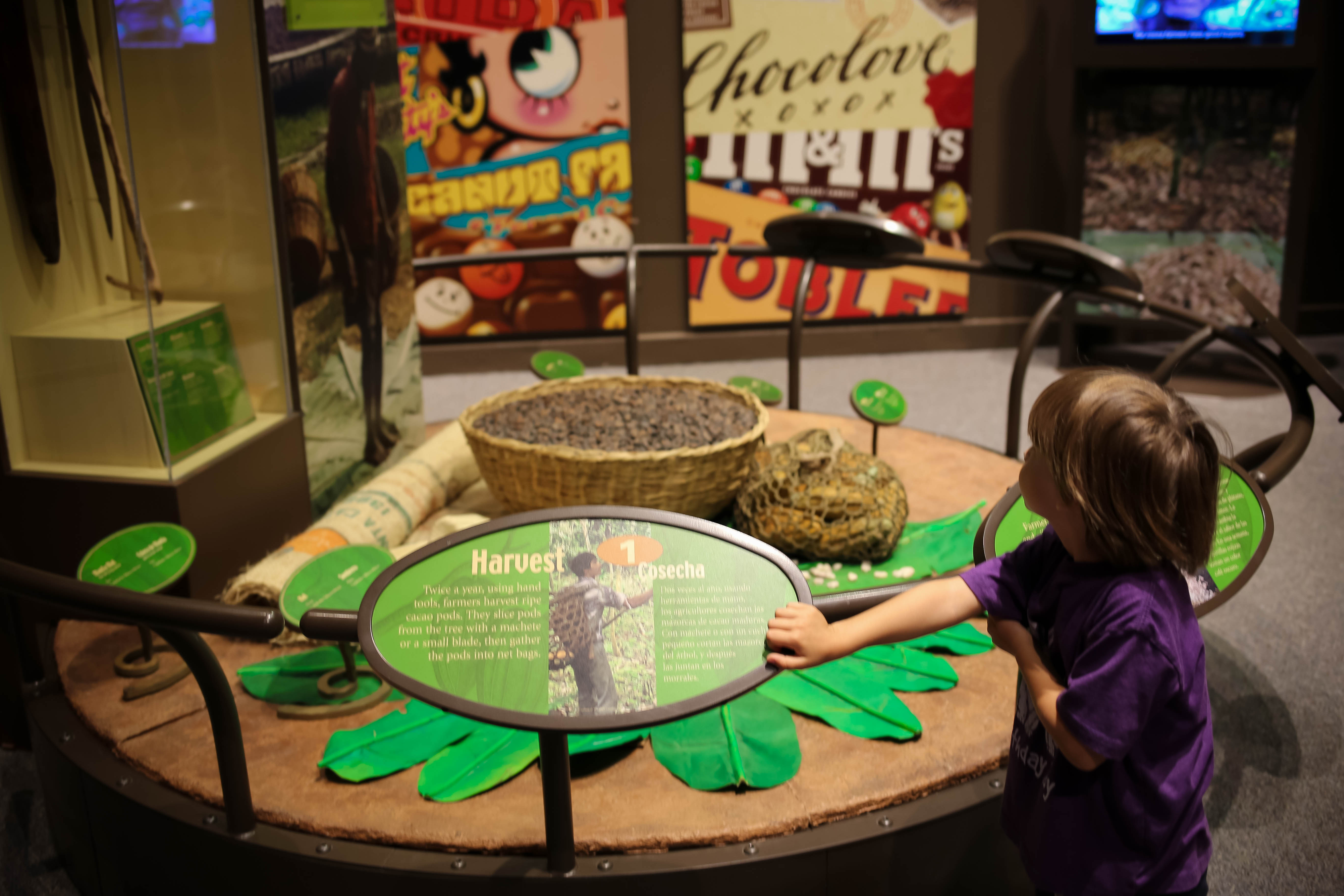 Chocolate The Exhibition at the Cincinnati Museum Center Cincinnati