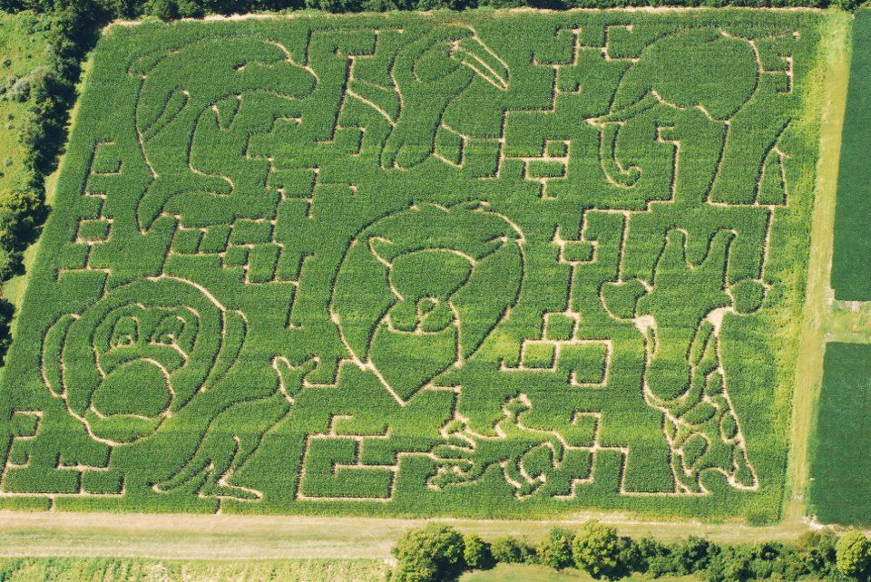 Irons Corn Maze Southwest Ohio Parent Magazine