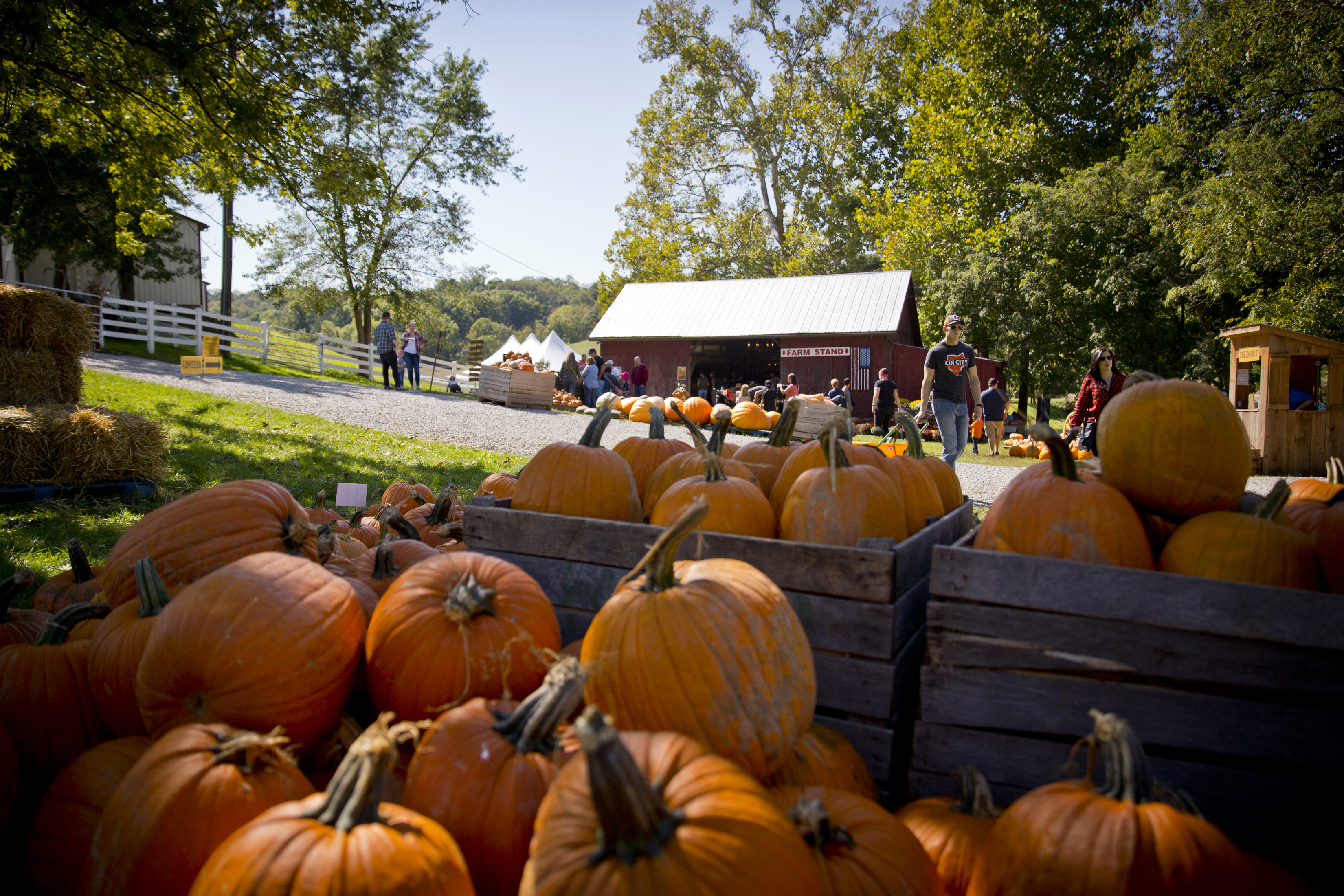 Autumn Must-Do: Neltner’s Farm Fall Festival - Cincinnati Parent Magazine