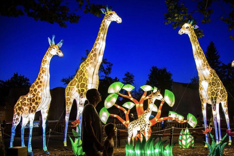 Worth the drive Wild Lights Lantern Festival at the Louisville Zoo