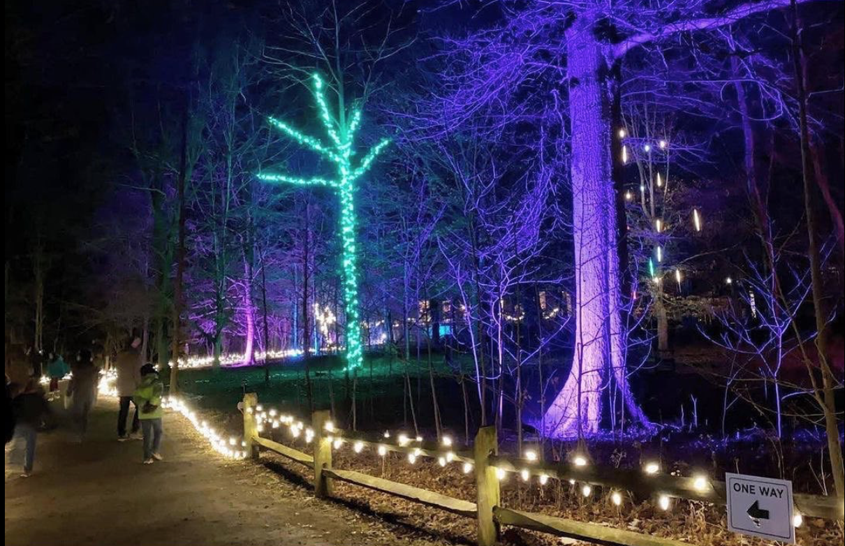 Cincinnati Nature Center's Light in the Forest is a new holiday event
